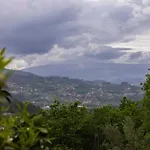 Quinta Cerca Da Milhera - Unique Experiences By luxistay Hotel