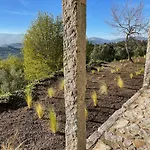 Quinta Cerca Da Milhera - Unique Experiences By luxistay Hotel Ponte da Barca