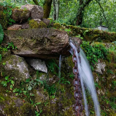 Hotel Quinta Cerca Da Milhera - Unique Experiences By luxistay *