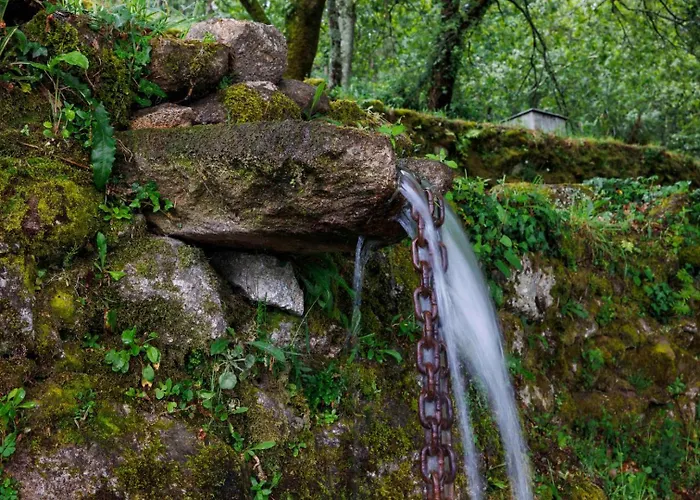 Hotel Quinta Cerca Da Milhera - Unique Experiences By luxistay *